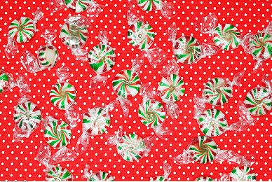 《赵云传重制版》三大女主设定图 12月29日定向封测